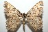  ( - 15-SRNP-102765)  @13 [ ] CreativeCommons  Attribution Non-Commercial Share-Alike (2016) Unspecified Guanacaste Dry Forest Conservation Fund