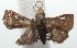  ( - 15-SRNP-102836)  @13 [ ] CreativeCommons  Attribution Non-Commercial Share-Alike (2016) Unspecified Guanacaste Dry Forest Conservation Fund