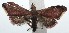  ( - 15-SRNP-102853)  @13 [ ] CreativeCommons  Attribution Non-Commercial Share-Alike (2016) Unspecified Guanacaste Dry Forest Conservation Fund