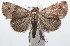  ( - 15-SRNP-102860)  @14 [ ] CreativeCommons  Attribution Non-Commercial Share-Alike (2016) Unspecified Guanacaste Dry Forest Conservation Fund