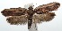 ( - 15-SRNP-102870)  @13 [ ] CreativeCommons  Attribution Non-Commercial Share-Alike (2016) Unspecified Guanacaste Dry Forest Conservation Fund