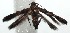 ( - 15-SRNP-102878)  @12 [ ] CreativeCommons  Attribution Non-Commercial Share-Alike (2016) Unspecified Guanacaste Dry Forest Conservation Fund