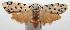  ( - 15-SRNP-102929)  @14 [ ] CreativeCommons  Attribution Non-Commercial Share-Alike (2016) Unspecified Guanacaste Dry Forest Conservation Fund
