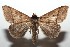  ( - 15-SRNP-102941)  @14 [ ] CreativeCommons  Attribution Non-Commercial Share-Alike (2016) Unspecified Guanacaste Dry Forest Conservation Fund