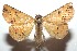  ( - 15-SRNP-102948)  @14 [ ] CreativeCommons  Attribution Non-Commercial Share-Alike (2016) Unspecified Guanacaste Dry Forest Conservation Fund