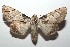  ( - 15-SRNP-102975)  @14 [ ] CreativeCommons  Attribution Non-Commercial Share-Alike (2016) Unspecified Guanacaste Dry Forest Conservation Fund