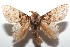 ( - 15-SRNP-103003)  @14 [ ] CreativeCommons  Attribution Non-Commercial Share-Alike (2016) Unspecified Guanacaste Dry Forest Conservation Fund