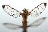  ( - 15-SRNP-103065)  @14 [ ] CreativeCommons  Attribution Non-Commercial Share-Alike (2016) Unspecified Guanacaste Dry Forest Conservation Fund