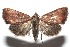  ( - 15-SRNP-103104)  @14 [ ] CreativeCommons  Attribution Non-Commercial Share-Alike (2016) Unspecified Guanacaste Dry Forest Conservation Fund
