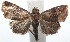  ( - 15-SRNP-103138)  @14 [ ] CreativeCommons  Attribution Non-Commercial Share-Alike (2016) Unspecified Guanacaste Dry Forest Conservation Fund