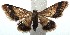  ( - 15-SRNP-103203)  @13 [ ] CreativeCommons  Attribution Non-Commercial Share-Alike (2016) Unspecified Guanacaste Dry Forest Conservation Fund