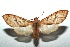  ( - 15-SRNP-103281)  @14 [ ] CreativeCommons  Attribution Non-Commercial Share-Alike (2016) Unspecified Guanacaste Dry Forest Conservation Fund