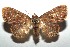  ( - 15-SRNP-103323)  @14 [ ] CreativeCommons  Attribution Non-Commercial Share-Alike (2016) Unspecified Guanacaste Dry Forest Conservation Fund
