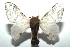 ( - 15-SRNP-103330)  @14 [ ] CreativeCommons  Attribution Non-Commercial Share-Alike (2016) Unspecified Guanacaste Dry Forest Conservation Fund