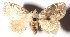  ( - 15-SRNP-933)  @11 [ ] CreativeCommons  Attribution Non-Commercial Share-Alike (2017) Daniel H. Janzen Guanacaste Dry Forest Conservation Fund