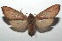  ( - 16-SRNP-100024)  @14 [ ] CreativeCommons  Attribution Non-Commercial Share-Alike (2016) Unspecified Guanacaste Dry Forest Conservation Fund