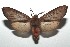  ( - 16-SRNP-100025)  @14 [ ] CreativeCommons  Attribution Non-Commercial Share-Alike (2016) Unspecified Guanacaste Dry Forest Conservation Fund