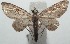  ( - 16-SRNP-100048)  @13 [ ] CreativeCommons  Attribution Non-Commercial Share-Alike (2016) Unspecified Guanacaste Dry Forest Conservation Fund