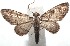  ( - 16-SRNP-100050)  @14 [ ] CreativeCommons  Attribution Non-Commercial Share-Alike (2016) Unspecified Guanacaste Dry Forest Conservation Fund