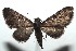 ( - 16-SRNP-100058)  @13 [ ] CreativeCommons  Attribution Non-Commercial Share-Alike (2016) Unspecified Guanacaste Dry Forest Conservation Fund