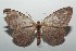  ( - 16-SRNP-100085)  @13 [ ] CreativeCommons  Attribution Non-Commercial Share-Alike (2016) Unspecified Guanacaste Dry Forest Conservation Fund