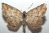  ( - 16-SRNP-100090)  @14 [ ] CreativeCommons  Attribution Non-Commercial Share-Alike (2016) Unspecified Guanacaste Dry Forest Conservation Fund