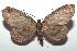  ( - 16-SRNP-100100)  @13 [ ] CreativeCommons  Attribution Non-Commercial Share-Alike (2016) Unspecified Guanacaste Dry Forest Conservation Fund
