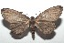  ( - 16-SRNP-100101)  @13 [ ] CreativeCommons  Attribution Non-Commercial Share-Alike (2016) Unspecified Guanacaste Dry Forest Conservation Fund