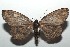  ( - 16-SRNP-100102)  @13 [ ] CreativeCommons  Attribution Non-Commercial Share-Alike (2016) Unspecified Guanacaste Dry Forest Conservation Fund