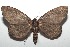  ( - 16-SRNP-100103)  @13 [ ] CreativeCommons  Attribution Non-Commercial Share-Alike (2016) Unspecified Guanacaste Dry Forest Conservation Fund