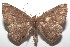  ( - 16-SRNP-100107)  @14 [ ] CreativeCommons  Attribution Non-Commercial Share-Alike (2016) Unspecified Guanacaste Dry Forest Conservation Fund