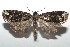  ( - 16-SRNP-100158)  @14 [ ] CreativeCommons  Attribution Non-Commercial Share-Alike (2016) Unspecified Guanacaste Dry Forest Conservation Fund