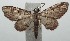  ( - 16-SRNP-100230)  @13 [ ] CreativeCommons  Attribution Non-Commercial Share-Alike (2016) Unspecified Guanacaste Dry Forest Conservation Fund