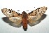  ( - 16-SRNP-100276)  @14 [ ] CreativeCommons  Attribution Non-Commercial Share-Alike (2016) Unspecified Guanacaste Dry Forest Conservation Fund