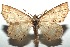  ( - 16-SRNP-100342)  @14 [ ] CreativeCommons  Attribution Non-Commercial Share-Alike (2016) Unspecified Guanacaste Dry Forest Conservation Fund