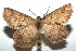  ( - 16-SRNP-100344)  @14 [ ] CreativeCommons  Attribution Non-Commercial Share-Alike (2016) Unspecified Guanacaste Dry Forest Conservation Fund