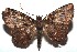  ( - 16-SRNP-100364)  @14 [ ] CreativeCommons  Attribution Non-Commercial Share-Alike (2016) Unspecified Guanacaste Dry Forest Conservation Fund