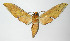  ( - 12-SRNP-20160)  @14 [ ] CreativeCommons - Attribution Non-Commercial Share-Alike (2014) Daniel H. Janzen Guanacaste Dry Forest Conservation Fund