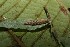  ( - 12-SRNP-20189)  @12 [ ] CreativeCommons - Attribution Non-Commercial Share-Alike (2013) Daniel H. Janzen Guanacaste Dry Forest Conservation Fund