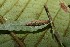  ( - 12-SRNP-20189)  @12 [ ] CreativeCommons - Attribution Non-Commercial Share-Alike (2013) Daniel H. Janzen Guanacaste Dry Forest Conservation Fund