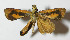  ( - 12-SRNP-22192)  @12 [ ] CreativeCommons - Attribution Non-Commercial Share-Alike (2014) Daniel H. Janzen Guanacaste Dry Forest Conservation Fund