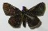  ( - 13-SRNP-68445)  @13 [ ] CreativeCommons - Attribution Non-Commercial Share-Alike (2014) Daniel H. Janzen Guanacaste Dry Forest Conservation Fund