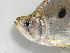  ( - MHNM38731)  @11 [ ] Unspecified (default): All Rights Reserved  Unspecified Unspecified