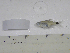  ( - MHNM40060)  @11 [ ] Unspecified (default): All Rights Reserved  Unspecified Unspecified