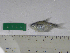  ( - MHNM47440)  @11 [ ] Unspecified (default): All Rights Reserved  Unspecified Unspecified