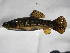  ( - MHNM50000)  @11 [ ] Unspecified (default): All Rights Reserved  Unspecified Unspecified