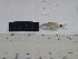  ( - MHNM50291)  @11 [ ] Unspecified (default): All Rights Reserved  Unspecified Unspecified