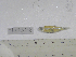  ( - MHNM51580)  @11 [ ] Unspecified (default): All Rights Reserved  Unspecified Unspecified