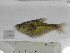  ( - MHNM53790)  @11 [ ] Unspecified (default): All Rights Reserved  Unspecified Unspecified