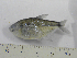  ( - MHNM55240)  @11 [ ] Unspecified (default): All Rights Reserved  Unspecified Unspecified